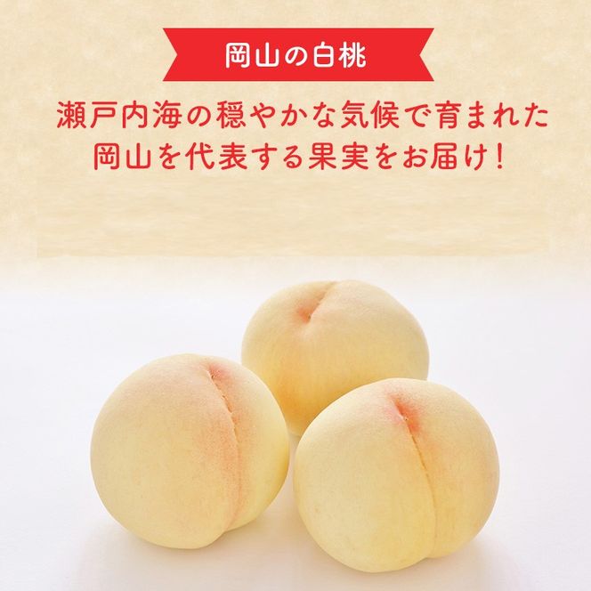 2026年 早期受付 岡山県産 白桃 恵白 (約2.2kg) 5～7玉 桃 もも 果物 フルーツ