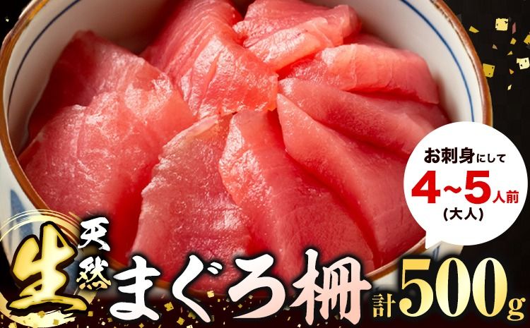 那智勝浦直送 天然生まぐろ 柵 500g 株式会社魚鶴商店[30日以内に出荷予定(土日祝除く)] 和歌山県 日高町 まぐろ 魚 マグロ 柵 海鮮 鮪 魚介 さかな---wsh_cuot54_30d_24_23000_500g---