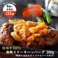 【4回 定期便 ／3ヵ月ごとにお届け】 海賊ステーキハンバーグ 200g×8個 ハンバーグ ソース付き 信州牛100% 長野 信州 小諸 繋ぎなし 冷凍 個包装