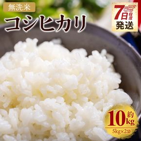 コシヒカリ 無洗米 10kg お米 こしひかり 高知県 香南市 cs-0002