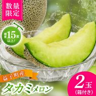 【先行予約】【数量限定】タカミメロン 2個セット｜青肉・高糖度｜みずみずしい上品な甘さ｜産地直送｜栃木県益子町 (AA021)