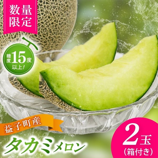 【先行予約】【数量限定】タカミメロン 2個セット｜青肉・高糖度｜みずみずしい上品な甘さ｜産地直送｜栃木県益子町 (AA021)