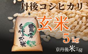 【先行予約】2026年産 京丹後産コシヒカリ 玄米5kg ふるさと納税 米 お米 ご飯 ごはん コシヒカリ 国産 こめ ごはん 京都産 こしひかり 農家応援 生産者応援 送料無料　GB00001