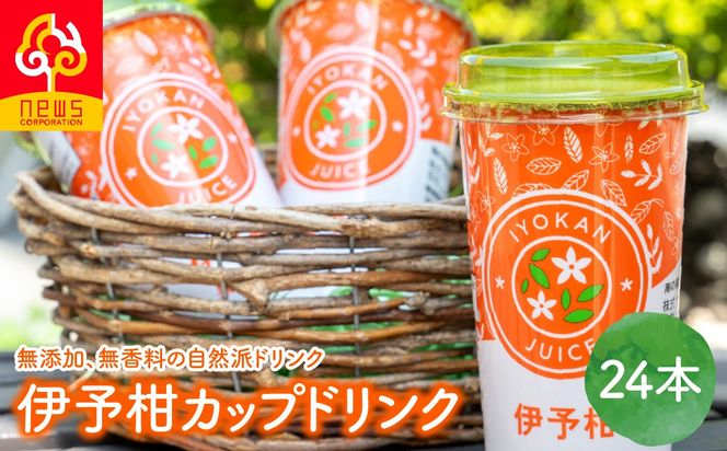 伊予柑カップドリンク24本入り IKTF043