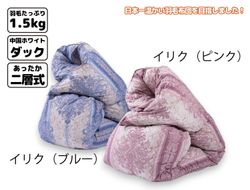 櫻道富士山羽毛 本掛け【1合目】