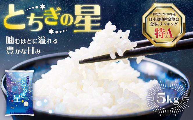 ns120-003 令和７年度産　栃木県産とちぎの星　精米　5kg【栃木県共通返礼品】