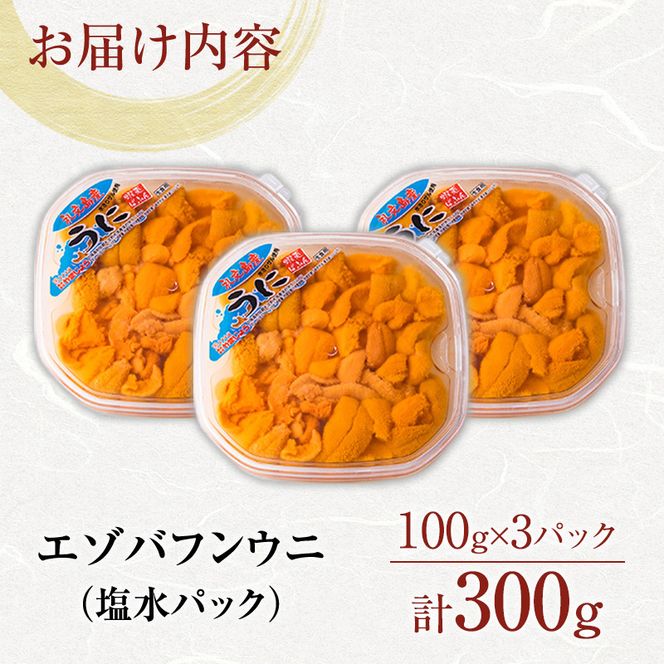 北海道 礼文島産 採れたて ミョウバン不使用 エゾバフンウニ 塩水パック 300g(100g×3個)［株式会社やまじょう］【 うに ウニ 雲丹 生うに 塩水うに バフンウニ 滅菌海水 海鮮 うに丼 濃厚 甘み 】