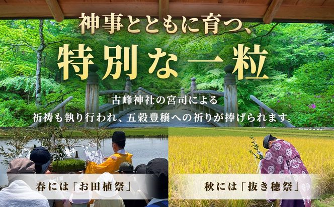 令和7年度産 伊勢ひかり 精米2kg | 白米 栃木 鹿沼市直送
