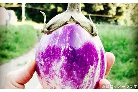 【 全12回 定期便 】 朝採り オーガニック 旬 野菜 お任せ 5品 ＋ 糸島産 大ヒット 特産 加工品 2品 のセット《糸島》【オーガニックナガミツファーム】 	[AGE032]