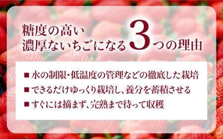 【予約：2025年1月上旬より順次発送】完熟あまおう 270g × 2パック 糸島市 / slowberry strawberry [APJ002] 苺 あまおう イチゴ