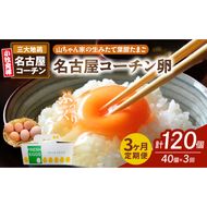 【3ヶ月定期便】【山ちゃん家の生みたて葉酸たまご】名古屋コーチン卵（40個入り）［132Y03-T］