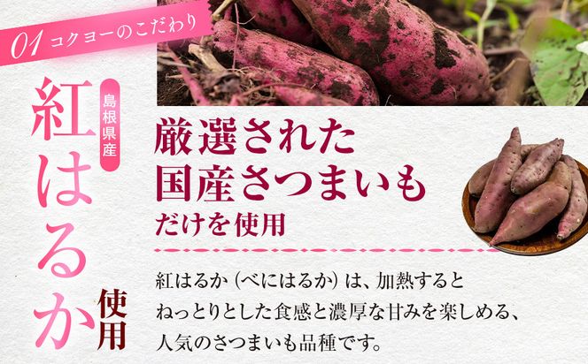 島根県産　干し芋 1kg ( 100g×10袋 ) 322032_BV004