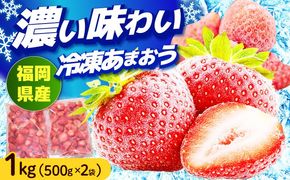 福岡産 冷凍あまおう 1kg （500g×2袋） 《築上町》【南国フルーツ株式会社】 果物 苺 いちご あまおう[ABET001]