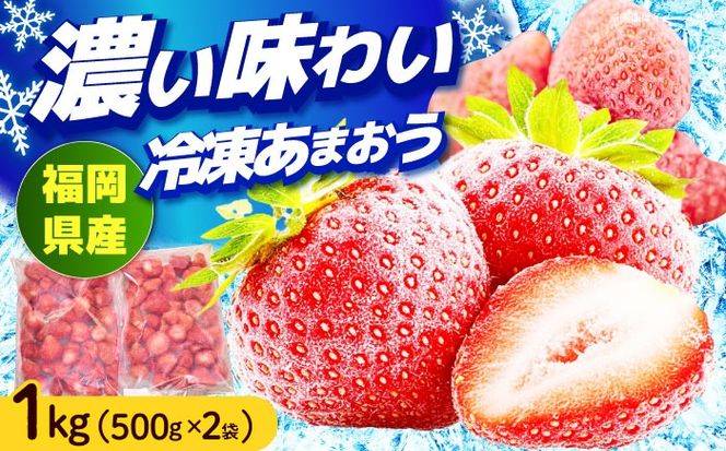 福岡産 冷凍あまおう 1kg （500g×2袋） 《築上町》【南国フルーツ株式会社】 果物 苺 いちご あまおう[ABET001]