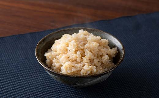 FYN6-286 令和7年度 山形県産 つや姫 玄米 10kg(5kg×2) お米 米 ごはん ご飯 げんまい 銘柄米 ブランド米 つやひめ 2025年 自宅 家庭 贈り物 プレゼント 贈答 ギフト 食品 山形県 西川町 月山