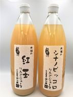 田七屋のリンゴジュース おまかせ2本セット 飲料類 果汁飲料 りんご 