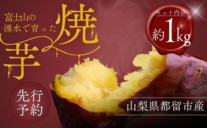 【2026年度先行予約】富士山の湧水で育った焼きいも　　やきいも いも お芋 サツマイモ さつまいも 紅はるか 