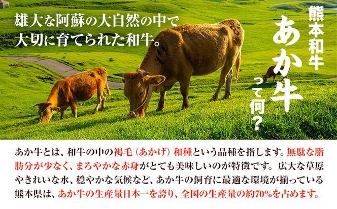 くまモン あか牛 ハンバーグ 120g×6個 あか牛のたれ付き 熊本県産 あか牛 あかうし 道の駅竜北《60日以内に出荷予定(土日祝除く)》 熊本県 氷川町 タレ付き ハンバーグ 熊本和牛 送料無料---sh_fskknahbg_24_60d_18500_720g---