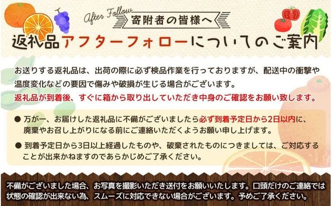 【2026年先行予約】あたご梨 ご家庭用/約５kg (岡山県産) / あたご梨 愛宕梨 梨 ご家庭用 果物 くだもの フルーツ 和梨 【KF-C008-03】