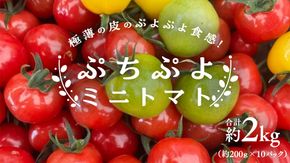 プチぷよ ミニトマト 合計約2kg （約200g × 10パック） トマト ミニトマト プチぷよ 新鮮 美味しい 野菜 [J009-NT]