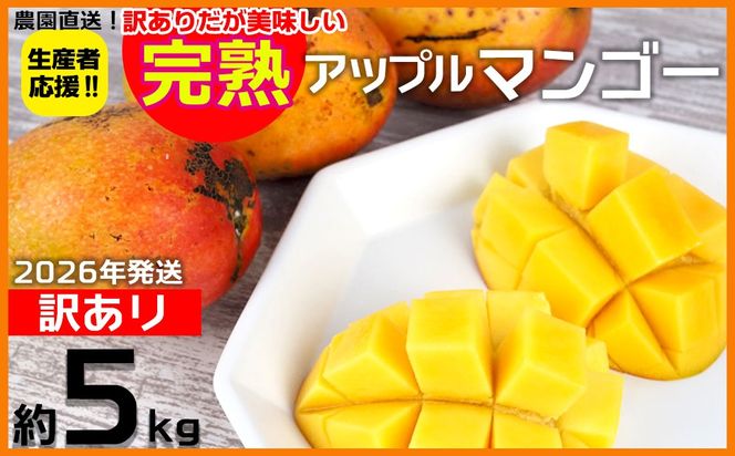 【2026年発送】生産者応援！！訳ありだが美味しい完熟アップルマンゴー約5kg 農園直送！ 訳アリ 先行予約 沖縄 甘味 糖度 濃厚 美味しい お取り寄せ おいしい ふるさと納税 とろける甘さ 香り アーウィン 果汁 送料無料 箱入り トロピカル フードロス わけあり ５キロ