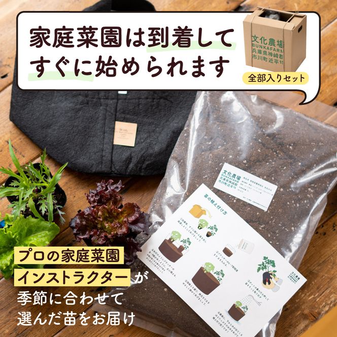 011BK02N.はじめての家庭菜園キット「サラダガーデン」（プランター色：ブラウン）
