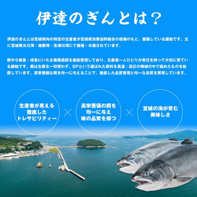 伊達の銀鮭モンゴル岩塩漬け 10切入（2切×5パック） 【 銀鮭 鮭 切り身 岩塩 魚介 朝食 お弁当 おかず 個装 冷凍 】 041009_HE001