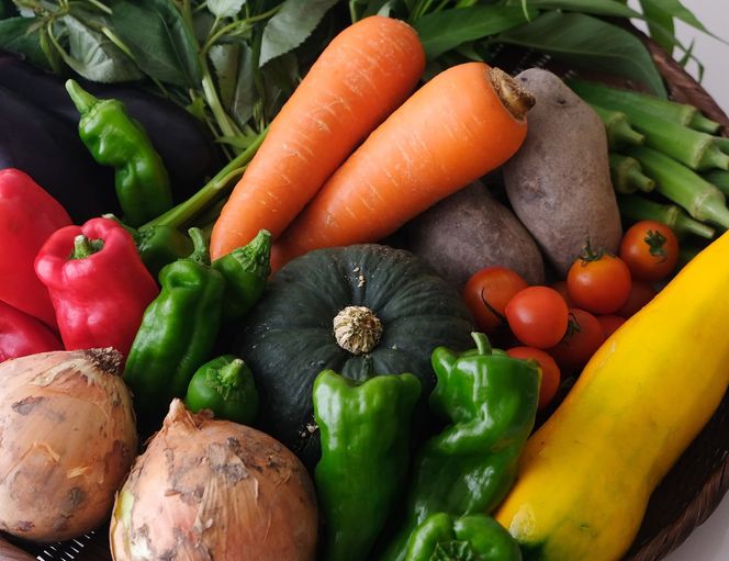 ＜2か月定期便＞2026年発送【緑のゆうき】購入された野菜の売上の1％が、社会貢献に 京都産のこだわり野菜（有機野菜、栽培期間中農薬・化学肥料不使用など）を 美味しいタイミングで収穫したセット 261009_B-KS22