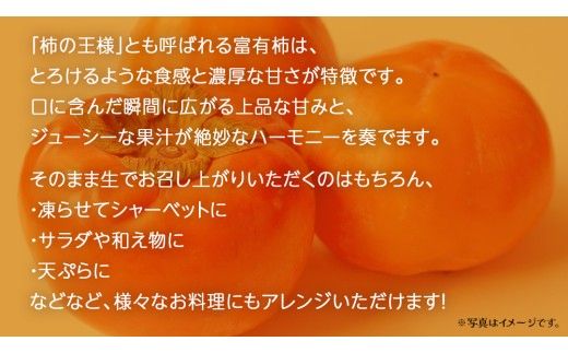 《 選べる 内容量 》富有柿 約3kg / 約6kg【2026年10月上旬発送開始】(茨城県共通返礼品：大子町) 柿 カキ かき 果物 フルーツ 旬 季節限定 期間限定
