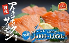 2B10小山町産アトランティックサーモン（４パック）