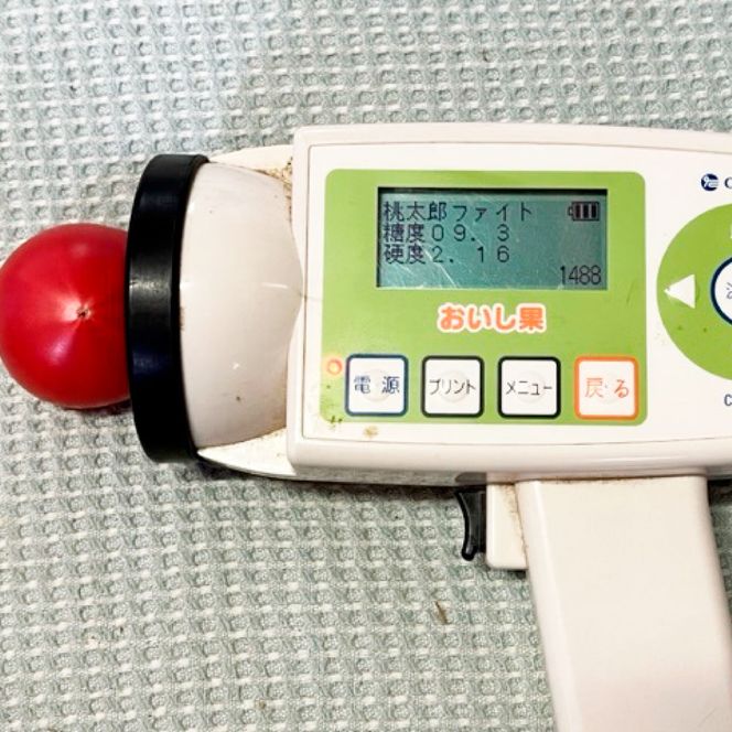【先行予約】糖度9度以上 フルーツトマト しんちゃんトマト 約750g (小 - 大玉サイズ 10 - 20個) 〈2027年2月〜発送〉/ トマト 高糖度 高知県産 ふるーつとまと 甘い 美味しい お取り寄せ
