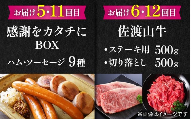 【全12回定期便】家族で満喫！沖縄のお肉贅沢セット【沖縄市】ハンバーグ あぐー 石垣牛 ステーキ 焼肉 冷凍 ギフト お取り寄せ 沖縄市 / お肉屋本店 / 豚々茶舗 / TESIO / 肉のサブロー[BCZZ035]