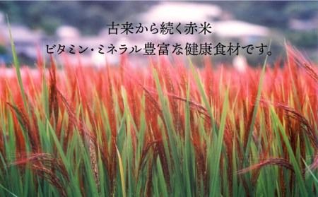 赤米 ・ 黒米 ・ 雑穀米 健康 ごはん の お米 セット 糸島 / 二丈赤米産直センター 古代米 米 [ABB009] ランキング 上位 人気 おすすめ