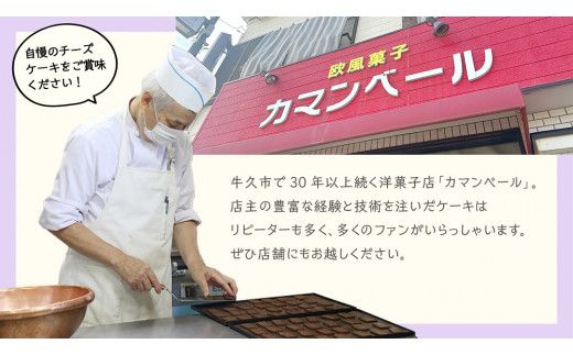 パンプキン チーズケーキ 6号 × 1個 ホールケーキ 冷蔵 スイーツ デザート お菓子 洋菓子 ケーキ 焼き菓子 かぼちゃ 南瓜 チーズ しっとり 老舗 洋菓子店 ハロウィン [AF003us]