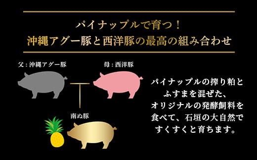 E-8-1 石垣島産アグ―豚（南ぬ豚）ハンバーグ10個セット (tokyoFMで紹介された「南ぬ豚(ぱいぬぶた)」です！♪)