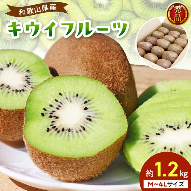 BL6175_【2027年1月下旬から順次発送】和歌山産　キウイフルーツ　約1.2kg　秀品