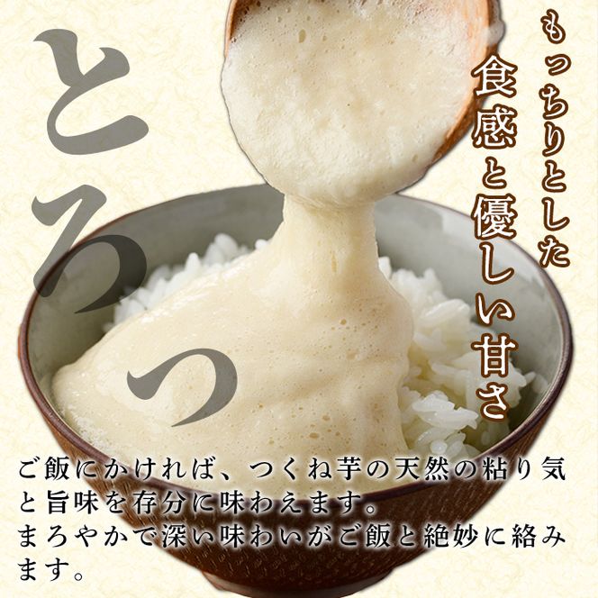 ＜先行予約受付中！2026年11月中旬以降順次発送予定＞つくね芋(大薯)(約5kg) 鹿児島県 阿久根市 つくね芋 大薯 だいじょ大和芋 山芋 とろろ【松永青果】akn053-12