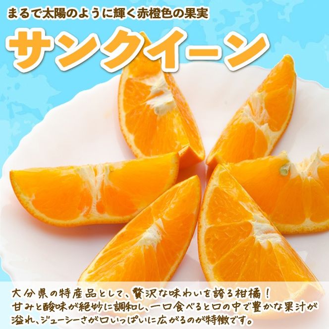 サンクイーンジャム(3個)フルーツ 果物 柑橘 ジャム 大分県産 特産品 大分県 佐伯市 防災 常温 常温保存【DT12】【全国農業協同組合連合会大分県本部】