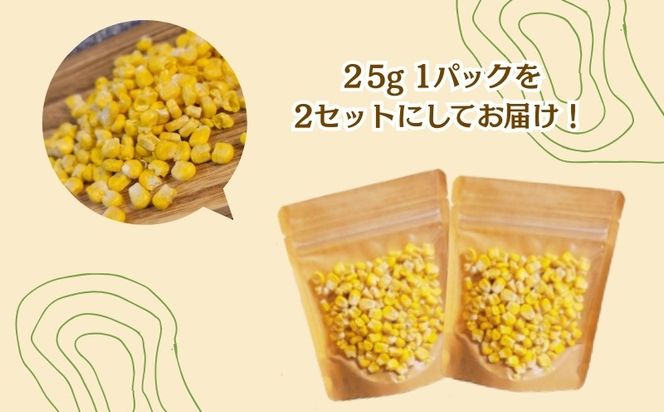 とうもろこしの“まんま”　FB049