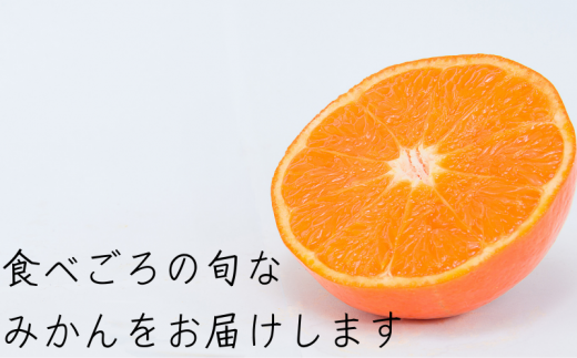  【先行予約】温州みかん 「小粒っこ」 10kg (極早生・早生・中生・晩稲)【2S～3Sサイズおまかせ】【2025年10月中旬～2026年1月下旬までに順次発送】＜味好農園＞/温州 みかん 小玉 蜜