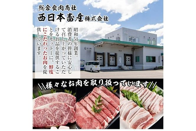 おおいた 和牛 サーロイン ブロック (1kg) 国産 豊後牛 ステーキ BBQ バーベキュー 惣菜 やきにく おかず 百年の恵み 大分県 佐伯市【BD190】【西日本畜産 (株)】