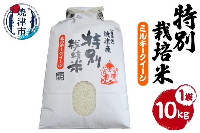 a28-043　新米　令和8年産　特別栽培米　ミルキークイーン　10Kg　農家のお米