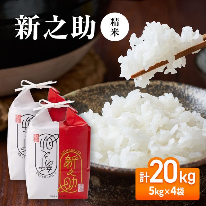 【先行予約】令和8年産 新之助20kg(5kg×4袋)