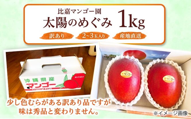 【2026年7月上旬より順次発送】【訳あり】沖縄市産マンゴー「太陽のめぐみ」 1kg(2〜3玉) 南国フルーツ 産地直送 新鮮 沖縄県産 ギフト 沖縄市 / 比嘉マンゴー園[BCEW003]
