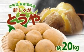 北海道 洞爺湖町産 新じゃがいも とうや 約20kg  Mサイズ以上混載 2026年10月初旬より順次出荷 北海道産 新じゃが じゃがいも いも ジャガイモ 馬鈴薯 黄爵 芋 旬 野菜 農作物 送料無料 産地直送 常温 洞爺湖町 