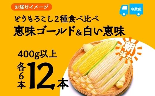 ＜2026年発送先行予約＞とうもろこし イエロー ＆ ホワイト 2種 食べ比べ 恵味ゴールド 白い恵味 400g以上 各6本 計12本 野菜 おやつ 旬 産地直送 送料無料 湖南野菜出荷組合 山梨県 富士河口湖町 FEM009