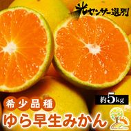 【先行予約】ゆら早生 みかん 濃厚な味わい 約5kg 希少品種《有機質肥料100％》極早生 ｜ 由良 ゆら 早生 わせ 柑橘 果物 くだもの フルーツ 和歌山 有田