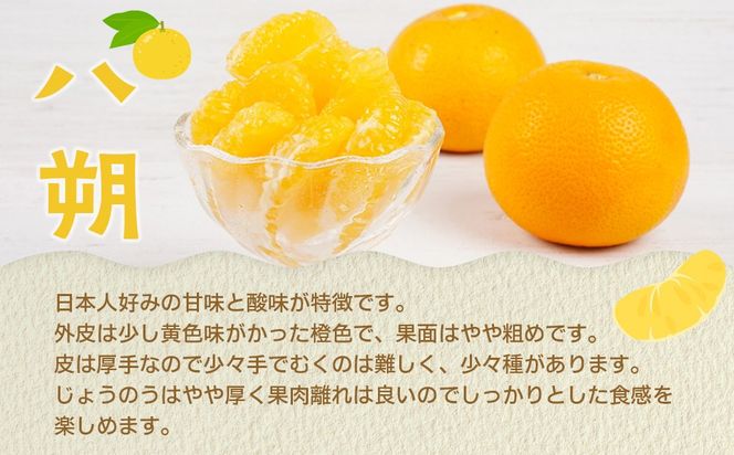 【産地直送】☆八朔☆サイズ混載（M～２L）☆9kg 	AL08