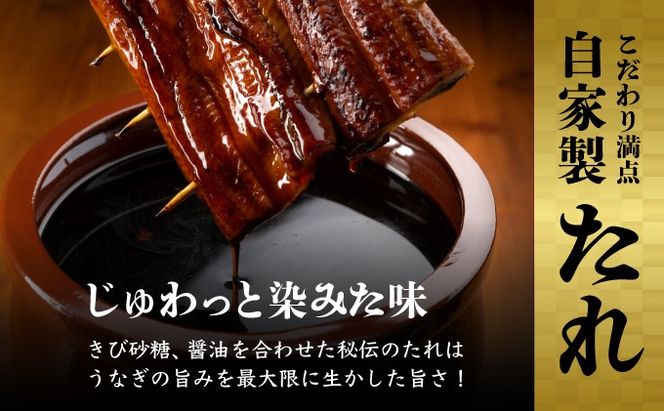 【12回定期便】ヤマジュウ厳選 国産 ウナギ 蒲焼き 1尾(約175g～180g)×12回 12ヶ月 タレ付き 鰻 うなぎ かば焼き 加工品 魚 魚介類 高知県産 冷凍 _ yj045