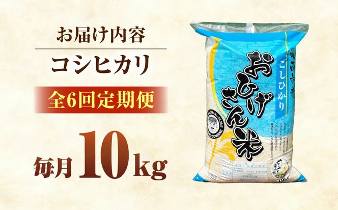 【6回定期便】コシヒカリ 白米 10kg×6か月 / 脇野コンバイン[AECP028]